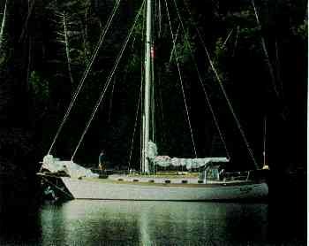 Whether under sail or at anchor, the size and beauty of the Baba 40 is
    sure to attract attention.